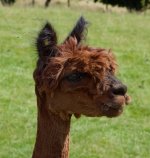 P1015229-RW2_DxO_PRIME 3.jpg