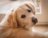 Social Media-0490.jpg