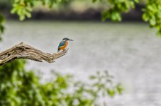 _DSC7089_DxO copy 2.jpg