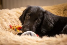 Social Media-0563.jpg