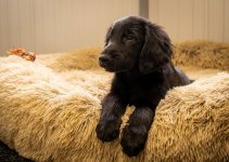 Social Media-0578.jpg