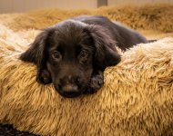 Social Media-0581.jpg