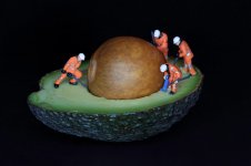 Week 35 - Snappers Choice.jpg