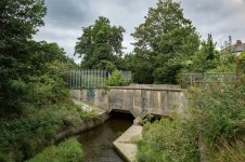 003 Plympton Photowalk 03-1003934 PS Adj upload.JPG