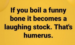 funny.png