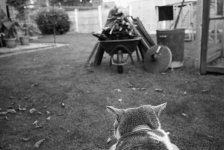 2021-09-26-trix800-mp-11.jpg
