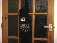 Eye whiskers and glazed door F55E DSC00002.JPG