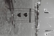 71E74538-3CB4-44D3-BC24-76233C0898B3.jpeg