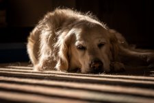 Social Media-1230.jpg