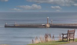 20210928-untitled-2-Edit-Edit.jpg
