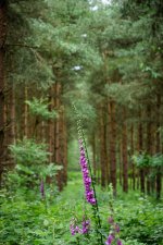 P1099564 edited small.jpg