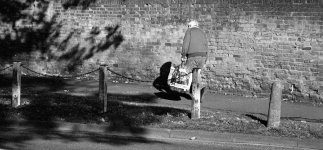 Man With Shopping Bag.jpg