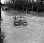 15790010_Adj Flood.jpg
