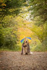 Social Media-1582.jpg