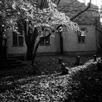 Microflex Test 07.jpg