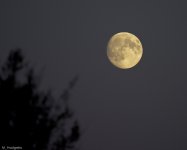 Moon2.JPG