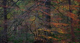 _DSC7398_Export.jpg