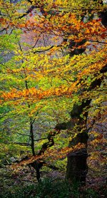 _DSC7251_Export.jpg