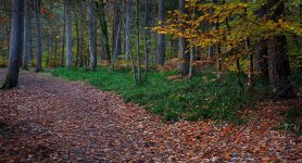 _DSC7269_Export.jpg