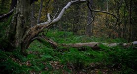 _DSC7337_Export.jpg