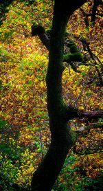 _DSC7368_Export.jpg