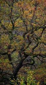 _DSC7382_Export.jpg