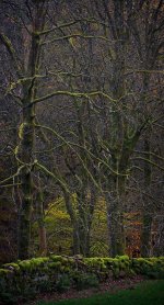 _DSC7389_Export.jpg