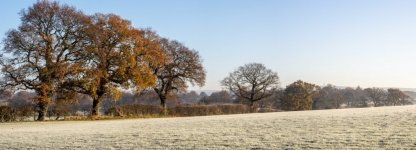 Cheshire on a Frosty Morning Pano.jpg