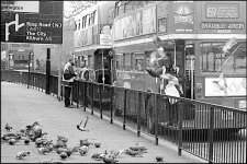Feeding the birds at Hyde Park Corner.jpg