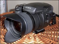 Camera Sony DSC-R1 TZ40 1020239.JPG