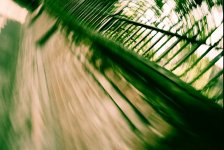 Acccidental Railings.jpg