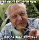 Sir-David-Attenborough.jpg