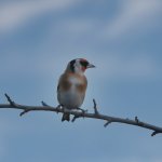 Week 48 - Living.jpg