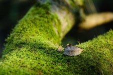 P1010289 edited (Large).jpg