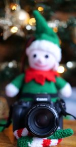 An elf taking an elfie.jpg