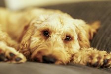 2021-12-16 21.47.11.jpg