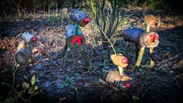 Week 49 - Still Life.jpg