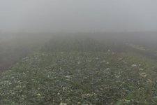 _7515943.jpg