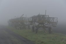 _7515978.jpg