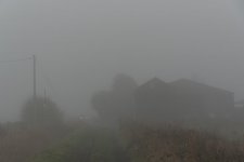 _7516007.jpg