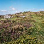 Yar Tor-43750008 PS Adj.JPG