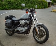Sportster's Back-1003183 PS Adj upload.jpg