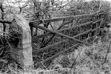 Old gate.jpg Old gate.jpg