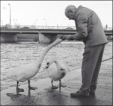 Man feeding swans by Exe Bridge Eos 5 1994 34-20.jpg