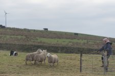 holme-4.jpg holme-4.jpg