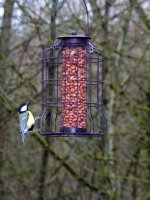 BIRD3.JPG