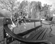 P1001614 (2) B&W.jpg