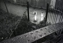Untitled-2.jpg