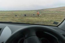 deerplay-1.jpg deerplay-1.jpg