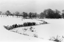Pitfour lake winter scene 2.jpg